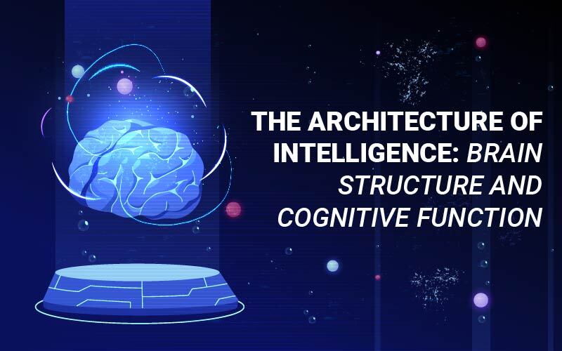 The Architecture of Intelligence: Brain Structure and Cognitive Function